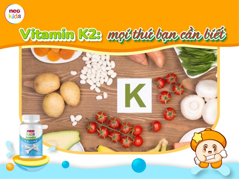 Vitamin k2 có ở đâu? Ăn gì để bổ sung vitamin k2?